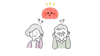 脳と耳